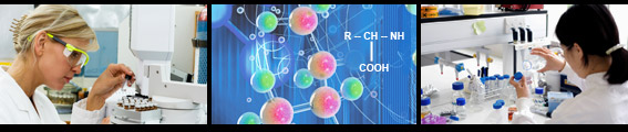 Scientific method for evaluating a protein's nutritional value.